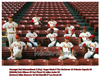 #ad #ad MLB 1968 St. Louis Cardinals Starting Nine Color 8 X 10 Photo Picture $5.99