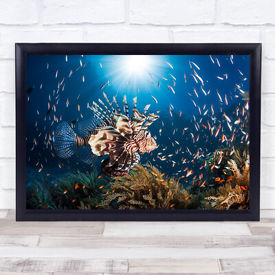 #ad Lionfish Fish Underwater Sea Ocean Rascasse Pterois Sun Surface Wall Art Print GBP 59.99