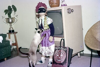 #ad Vintage Photo Slide 1960s Costume Girl Halloween Cat Color Corrected $7.19