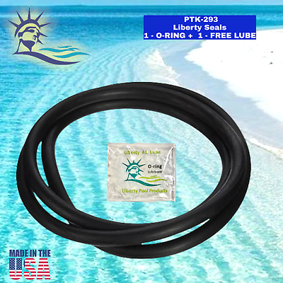 #ad P 24215 07 1437 Fits CF 100 Tank O ring For Purex Liberty PTK 293 $26.04