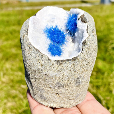 #ad 399g Rare blue sun needle and quartzite symbiotic mineral specimen $158.00