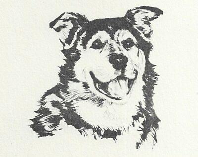Siberian Husky quot;Headquot; CUSTOM MATTED Vintage Dog Art Print 1932 D. Thorne #ad $12.95
