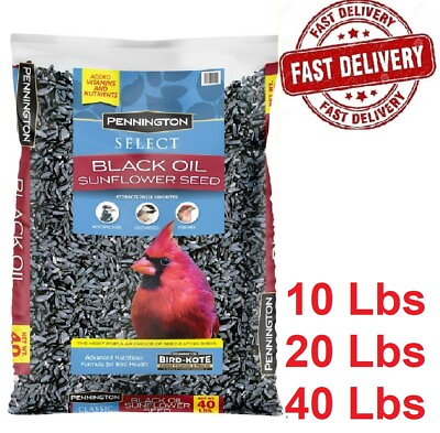 #ad Pennington Select Black Oil Sunflower Seed Wild Bird Feed 10 20 amp; 40 Lb Bag USA $17.49