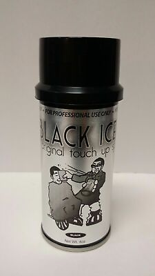 Black Ice Original Chromatone Touch Up Spray Black 4 oz #ad $23.95