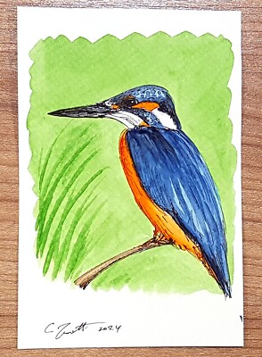 #ad CHRIS ZANETTI Original Watercolor Painting KINGFISHER Bird Wildlife Art 6quot;X4quot; $9.80