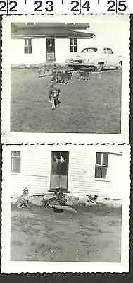 #ad VINTAGE OLD B amp; W PHOTOS MOM DOG WITH HER CUTE PUPPIES #2246 $3.99