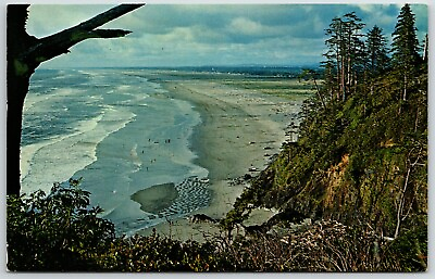 #ad Vintage Postcard View From Belleview Park Looks North Up Long Beach CA $5.30
