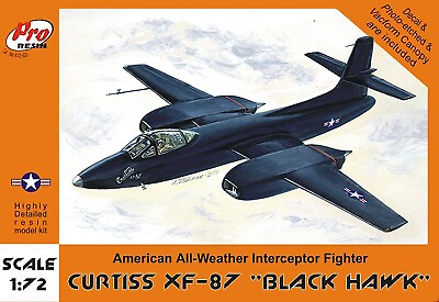 #ad 1 72 Curtiss XF 87 Black Hawk Night Fighter Aircraft Model Kit Pro Resin R72020 $54.95