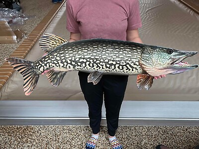 #ad Northern Pike Replica Fish Art 42quot; 2D Flat Metal Northern Pike Wall Mount Decor $140.00