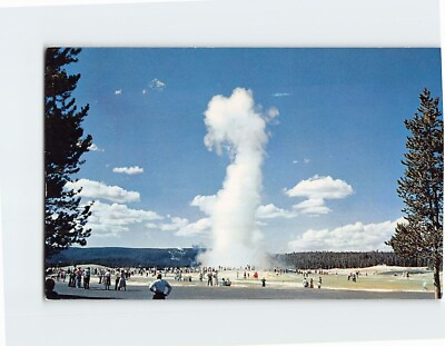 #ad #ad Postcard Old Faithful Geyser Yellowstone National Park Wyoming USA $6.97