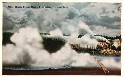 #ad #ad Postcard WY Yellowstone Park Norris Geyser Basin White Border Vintage PC G2158 $3.00