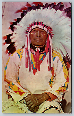 #ad c1960s Old Sioux Indian Wisconsin Dells Vintage Postcard $4.99